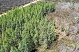 +/-76.79 Acres Wellington Lake Dr, Chelsea, WI 54451