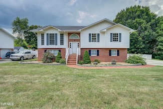 104 Mountain View Dr, Mount Carmel, TN 37645