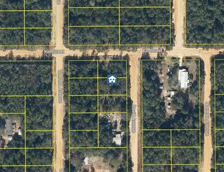 Lot 30 David Ave, Interlachen, FL 32148
