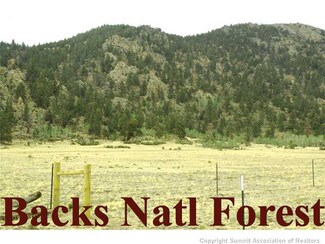 6675 Jefferson Rd, Hartsel, CO 80449
