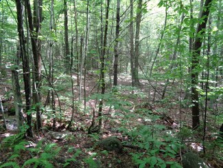0 Tioga Patten Rd Unit 4959430, Hill, NH 03243
