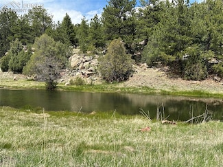 2332 County Rd, Florissant, CO 80816