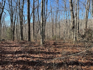 Lot 21 E Cove Rd, Monterey, TN 38574