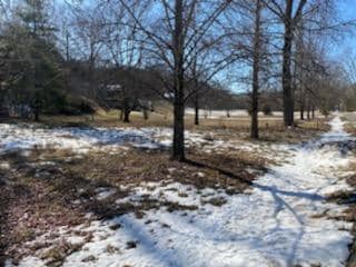 000 Foggy River Rd, Oliver Township, MO 65672
