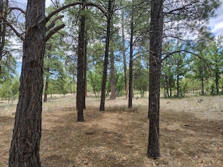 4579 Juniper Dr, Happy Jack, AZ 86024