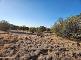 3405 W Pinto Dr, Ash Fork, AZ 86320