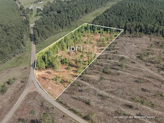 01 Lucas Hollow Rd, Mt. Olive, MS 39119