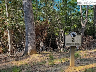Lot R3 Coyote Trail, Boone, NC 28607