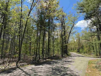 TBD E Ridge Dr, Otsego Lake Township, MI 49735