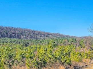 0 Polk County Road 426, Cove, AR 71937