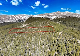 1171 County Road 787, Alma, CO 80420