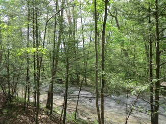 0 Moccasin Way Unit 630436, Basye, VA 22810