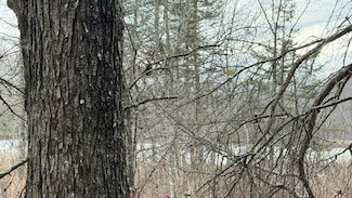 Lt3 Boat Landing 11 Rd, Athelstane, WI 54104