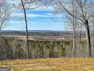 0 Back Berryton Rd Unit 10548198, Summerville, GA 30747