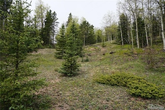 0 Vacant Land Unit REC6862937, Cripple Creek, CO 80813