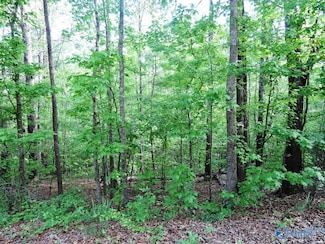 Lot 4 Harbor Light Trail, Jasper, AL 35504