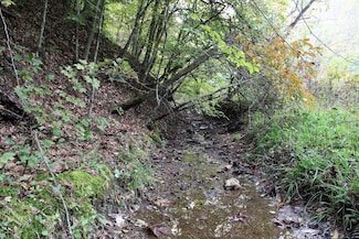 0 Tabletree Branch Road Lot Unit Wp001, Booneville, KY 41314