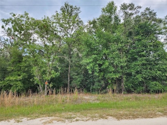 TBD SW 125th Terrace, Dunnellon, FL 34432