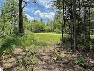 4767 Mackenzie Rd, Au Sable Charter Township, MI 48750
