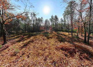 Lot 42 Winchester, Tuftonboro, NH 03816