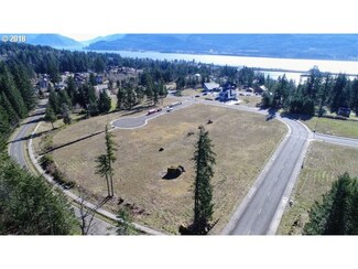 1193 Red Hawk Ct Unit 21, Stevenson, WA 98648
