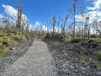 16-1134 Road 3 (Hopue), Mountain View, HI 96760