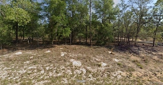 657 E Bimini Dr, Citrus Springs, FL 34434
