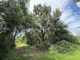 0 S Donaldson Ave Unit 79302397, La Porte, TX 77571