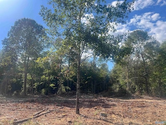 Lot 2, Tract 3 Summer Breeze Dr, Cedar Bluff, AL 35959