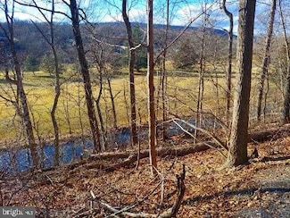 11 Sidetrack Trail, Fairfield, PA 17320