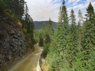 0 Kelly Creek Rd Unit 14923058, Avery, ID 83802