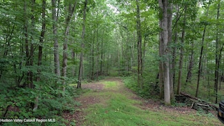 0 Route 32 Unit 20252606, Cairo, NY 12413