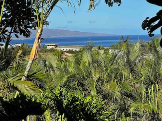 10 Wailea Ekolu Place Unit 203, Kihei, HI 96753