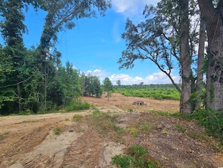 157 Mingo Chandler Rd, Nesmith, SC 29580