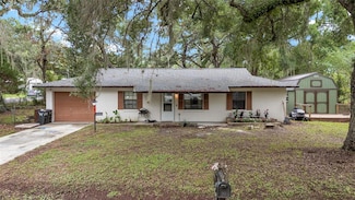 3800 NE 24th Ct, Ocala, FL 34479