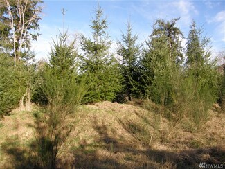 0 State Route 107, Cosmopolis, WA 98537