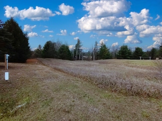 4911 Westchester Dr, Butman Township, MI 48624