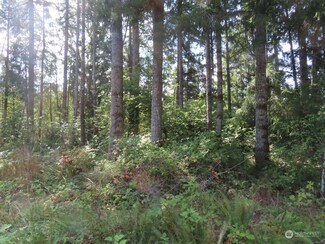 0 XXX Alpenridge Rd, Kelso, WA 98626