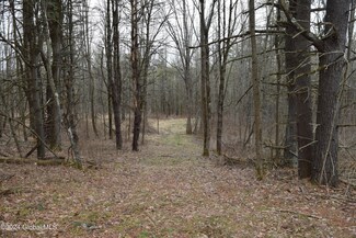 L4.11 Westfall Rd, Wright, NY 12053