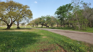 108 Country Oaks St, Brazoria, TX 77422