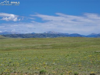 4072 Cimarron Dr, Hartsel, CO 80449