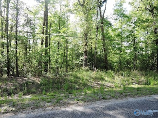 30 Harbor Loop, Jasper, AL 35504