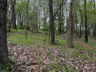 Lot 216 Thompsonville Rd, Peters Township, PA 15317