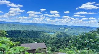 0 Chimney Rock Rd, New Tazewell, TN 37825