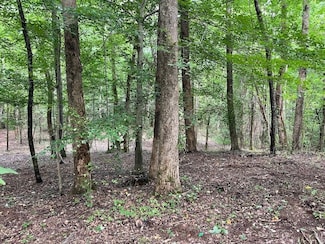 822 Myers Cove Rd, Mc Minnville, TN 37110