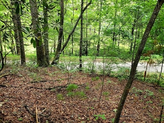 10.61 Charlies Creek Rd, Hiawassee, GA 30546