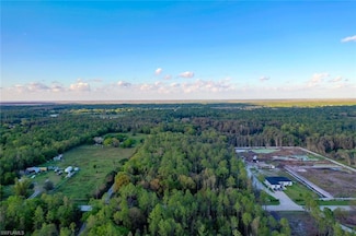 000 Platt Rd, Corkscrew, FL 34120