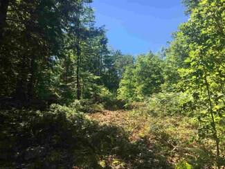 3 Pond View Dr, Tuftonboro, NH 03816