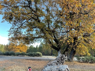 0 Banner Unit 202501920, Railroad Flat, CA 95248