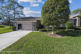 2456 Hidden Trail Dr, Spring Hill, FL 34606